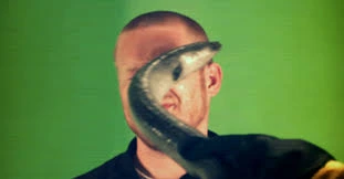 Eel Slap
